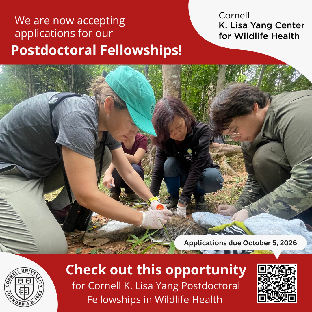 We are now accepting applications for our Postdoctoral Fellowships