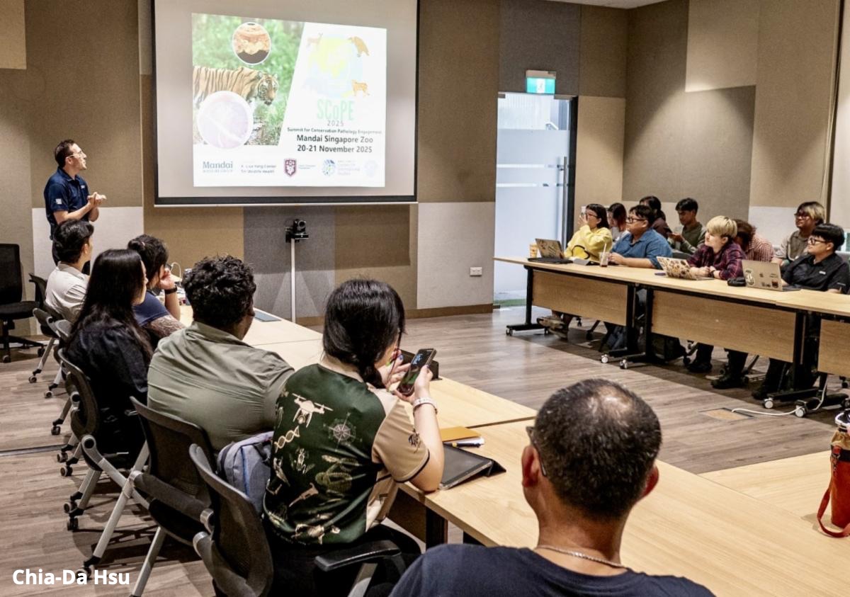 Dr. Carmen Smith stands at the head of the room to kick off the SCoPE meeting