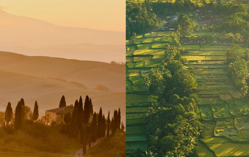 Golden hills of Tuscany beside the green rice terraces of Bali