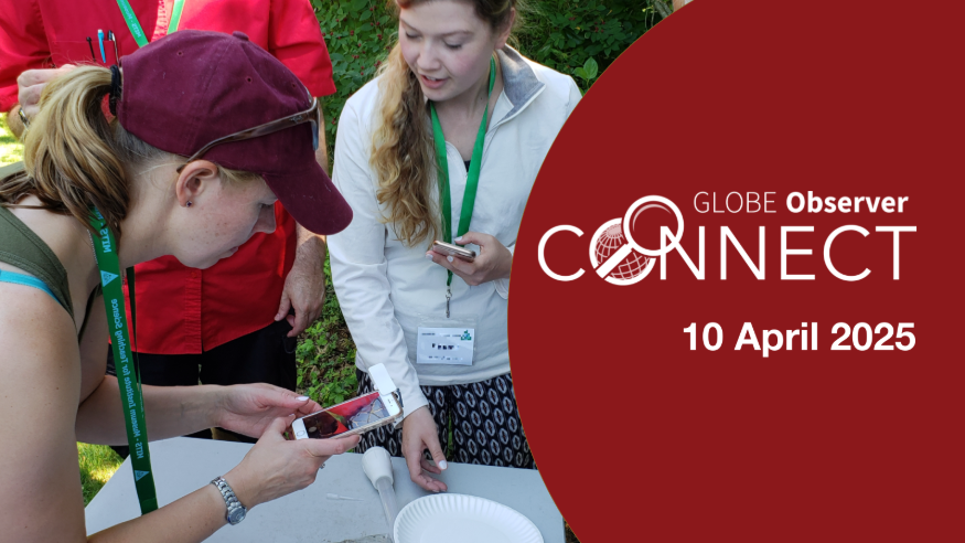 GO Connect webinar cover, red, with woman doing a mosquito larvae observation