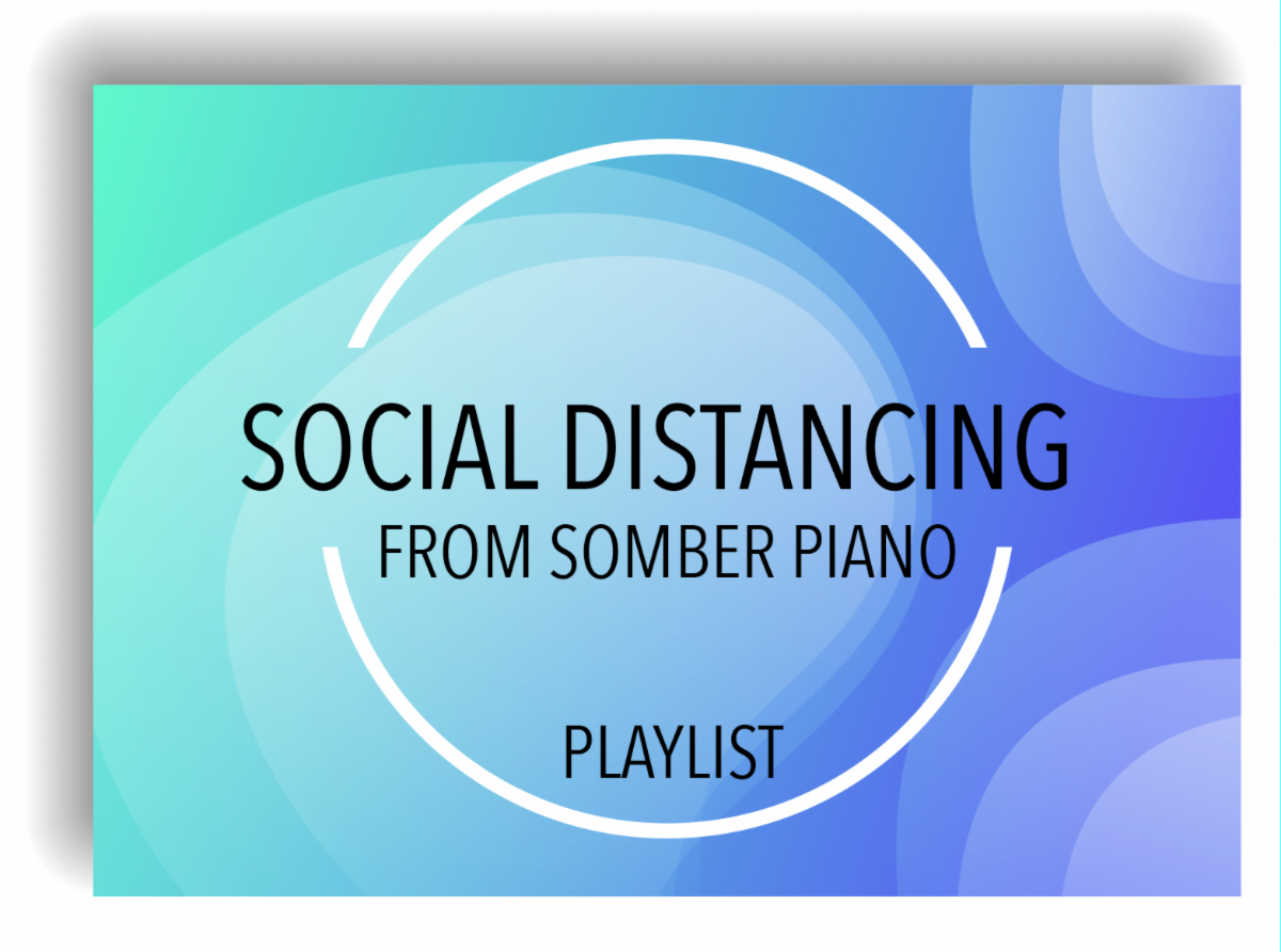 Is it time for normal music again? Amphibious Zoo Music