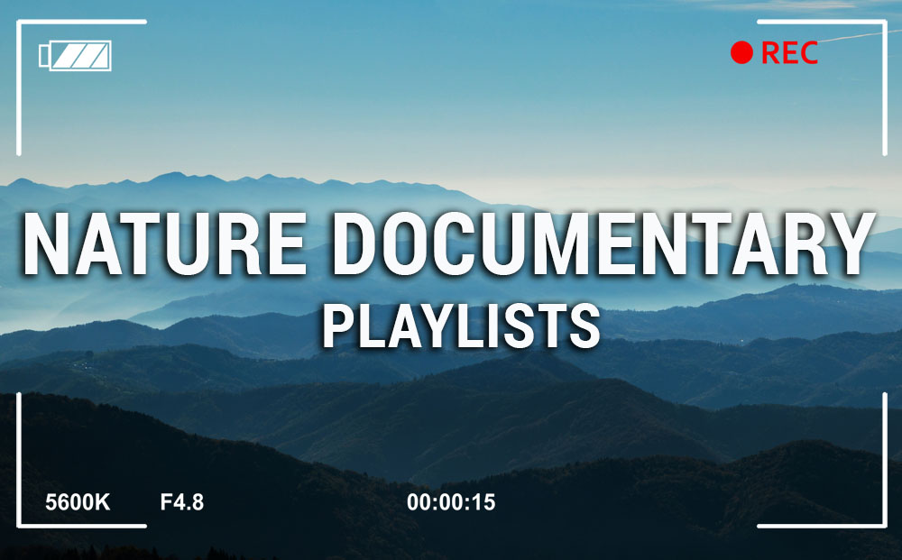 Documentary Playlists Amphibious Zoo Music