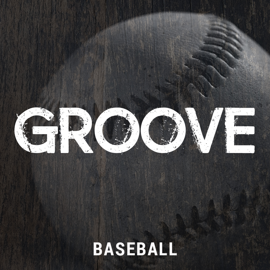 Major League Baseball needs major league music. Amphibious Zoo Music