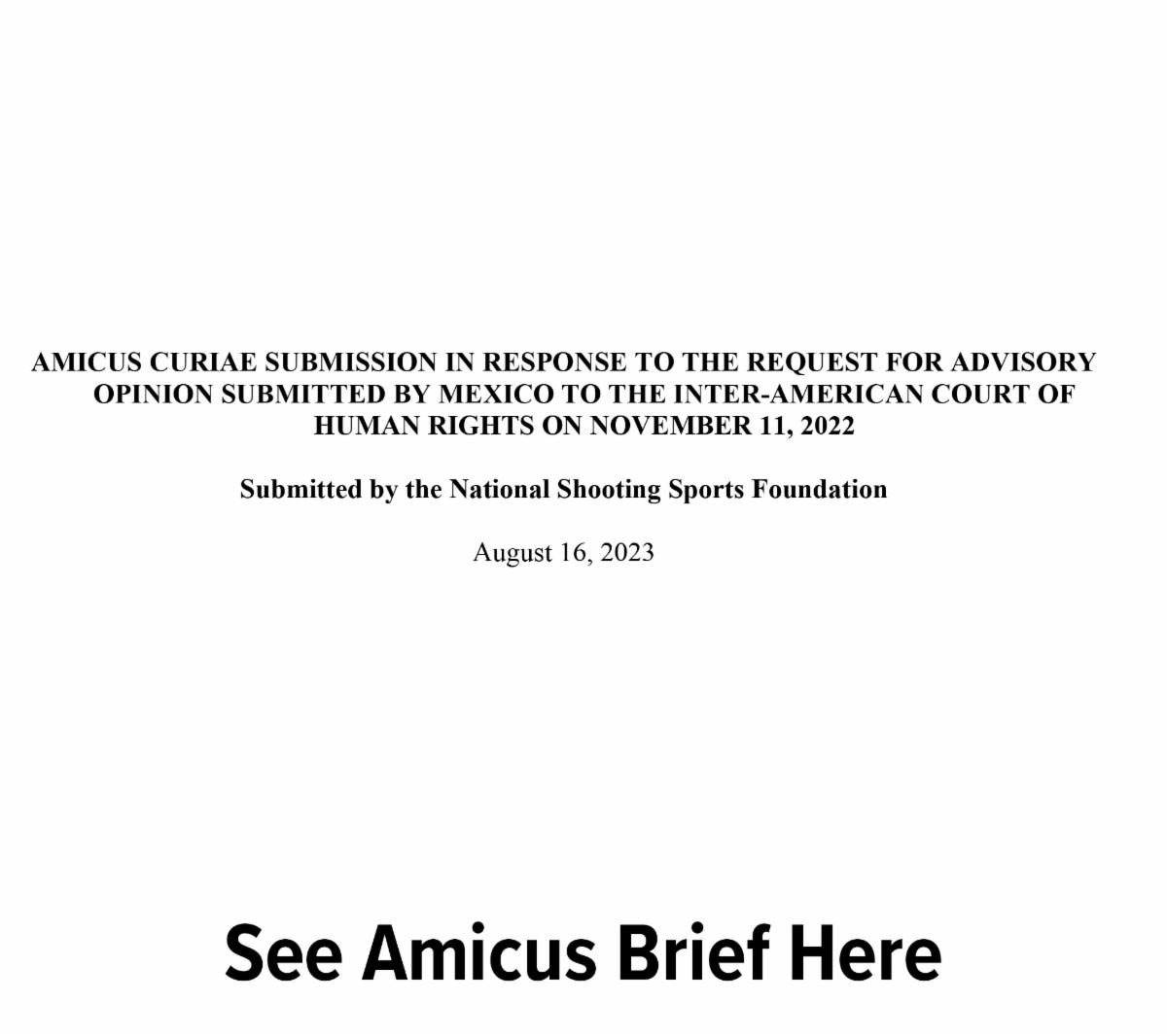 Amicus Brief