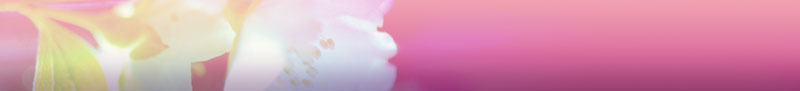 soft-flower-banner.jpg