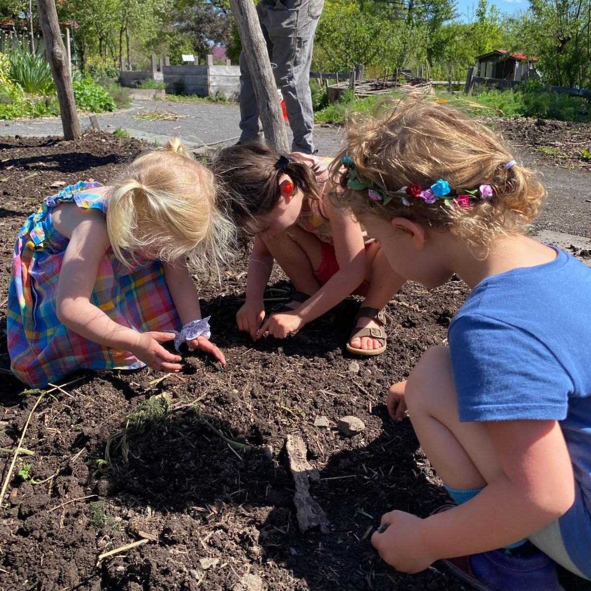 Two kids and a student worker during After School @ ICG observe the toads in the Rice Paddy Pond singing and laying eggs on this wet spring day.