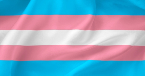 Transgender Pride flag. Vector illustration. Transgender symbol movement lgbt_ realistic flag. Element of sexual minorities_ gays and lesbians. Vector illustration of a colorful canvas.Flag close-up.