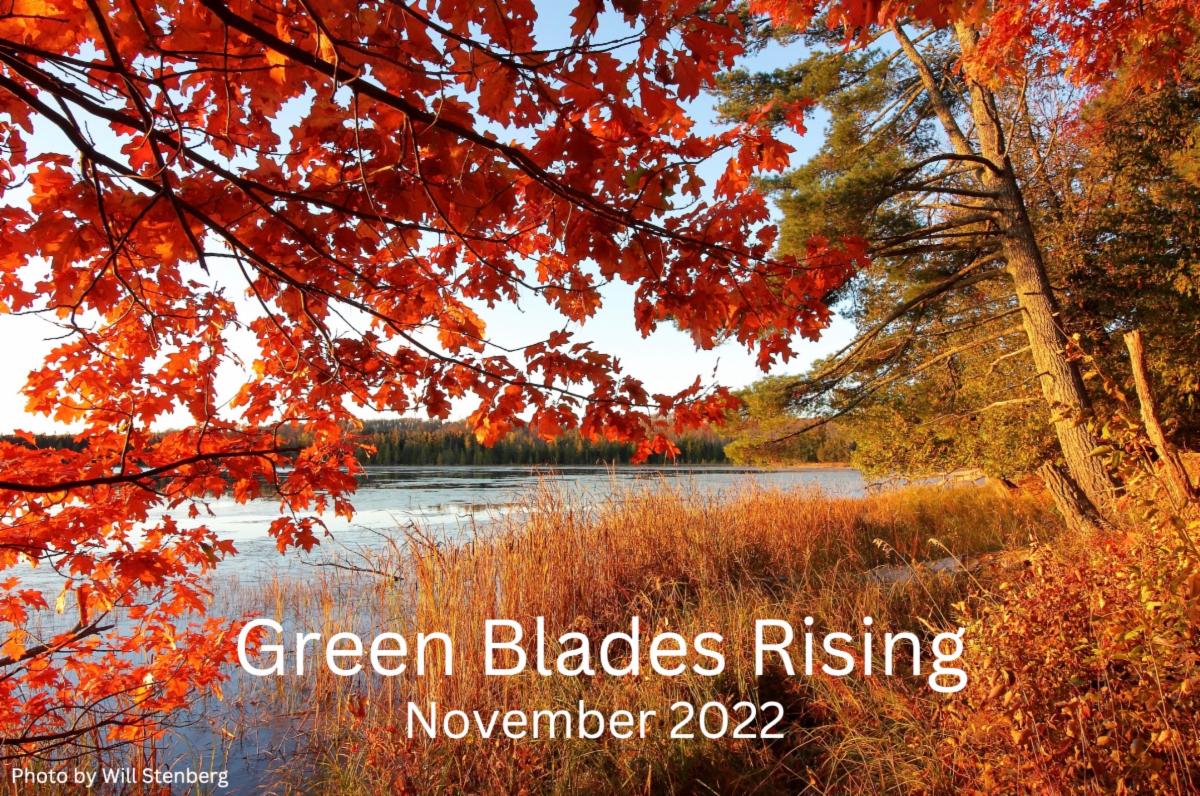 Green Blades Rising Newsletter November 2022