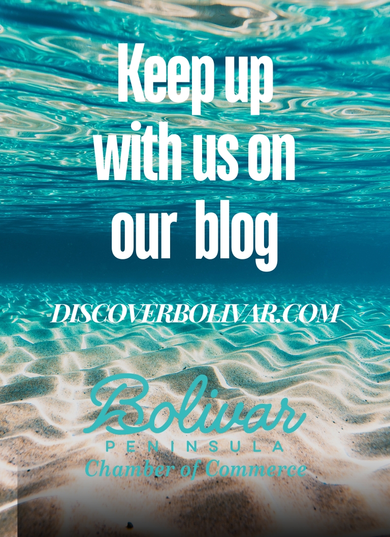 White and Blue summer quotes YouTube Story (8 x 11 in).jpg