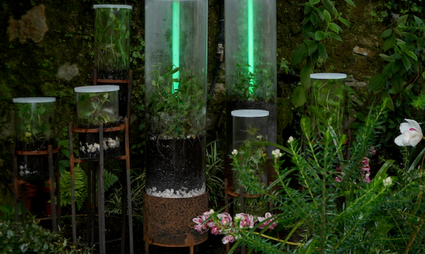 Image from (in)visible flows exhibit at the Luckman.