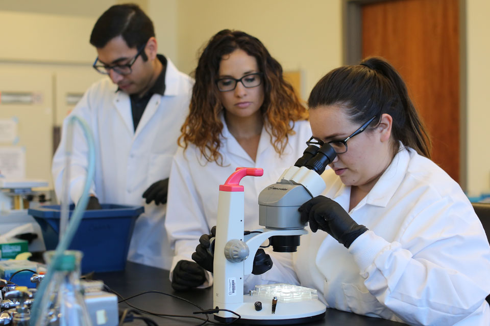 Three Cal State LA students in a research lab.