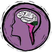 Inside the head of Female Softball Players
