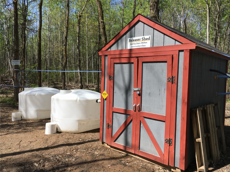 OwenWithee Turns School Forest Into a Productive Sugar Bush