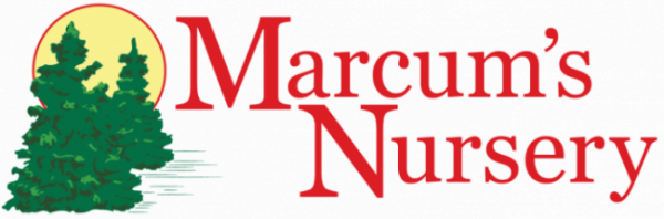 Marcums_Logo_full-e1614962639179.png