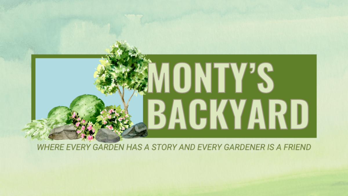 Monty's Backyard Logo