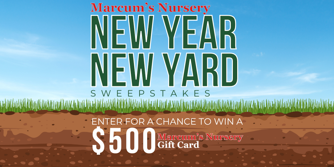 Enter for a chance to win a $500 Marcum's Nursery gift card!