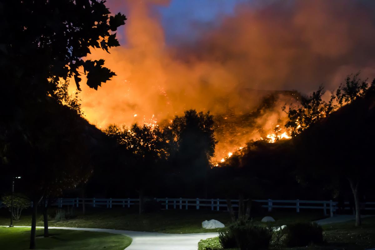 Stay Informed Insurance Updates for Wildfire Victims