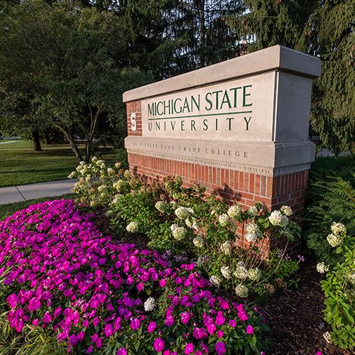 MSU Entrance sign surrounded by flowers