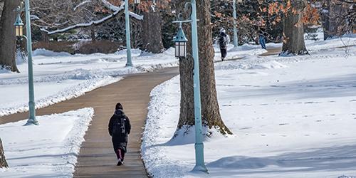 Person on a shoveled sidewalk with snow covering the grass.