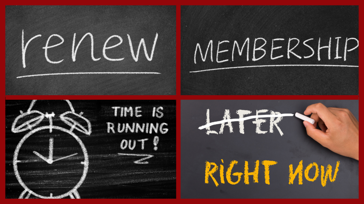 Renew Membership Now