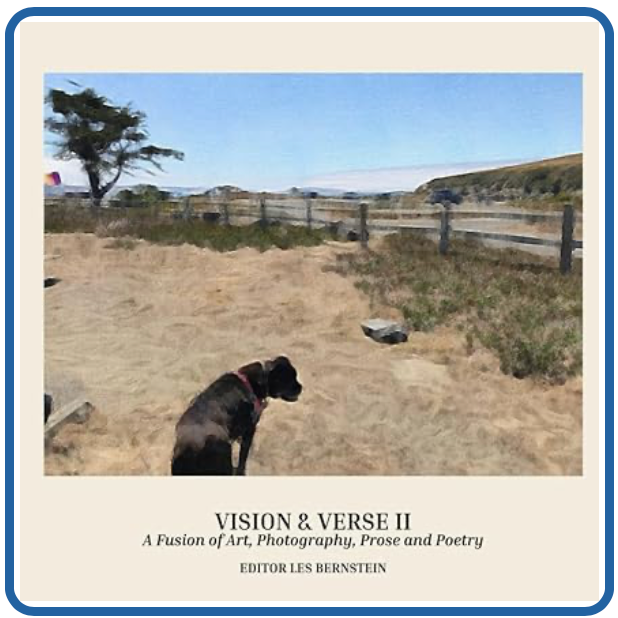 Vision & Verse II cover