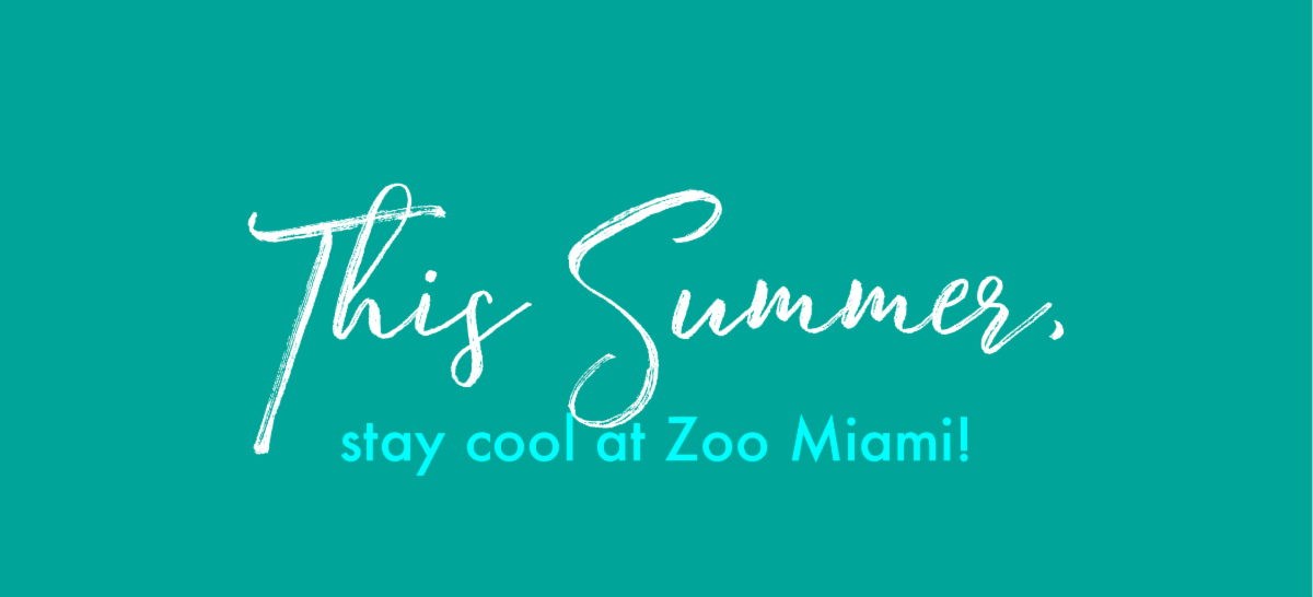 Stay cool at Zoo Miami Zoo Miami