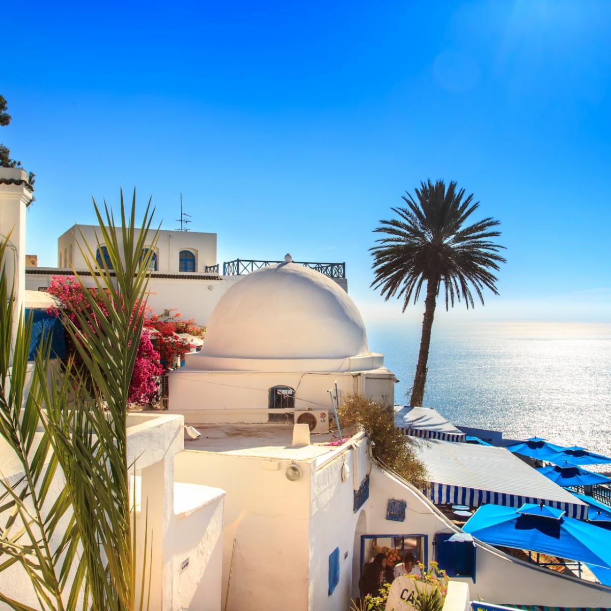 009 - Tunisia - AdobeStock_188097062.jpeg