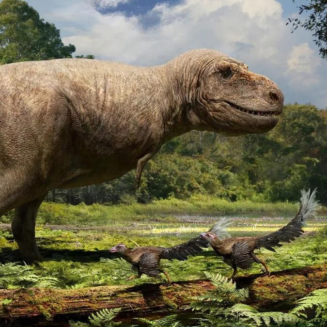 palaeoart showing a t rex walking in a forest clearing