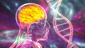 Stylized image of a brain scan and a DNA molecule