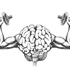 pen and ink sketch of a human brain lifting dumbells