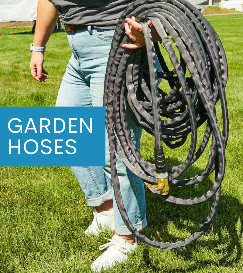 Sunday Care Tips Evergreens, Trees & Shrubs 🌳