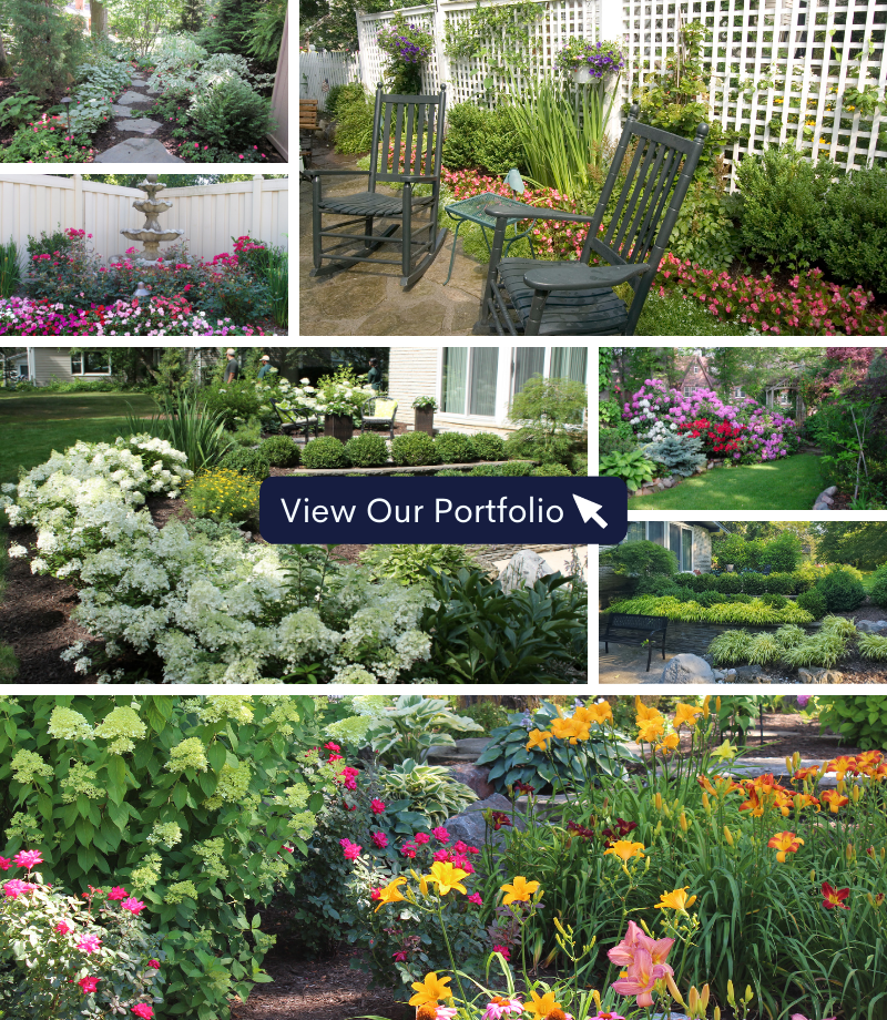 Let Us Create Your Dream Outdoor Oasis