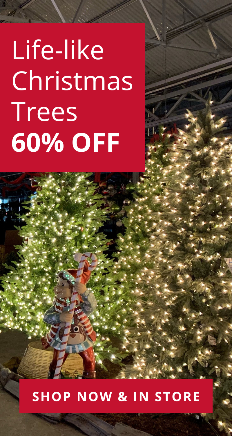 Garden Club Members Save 5060 off Christmas Trees, Lights & Decorations