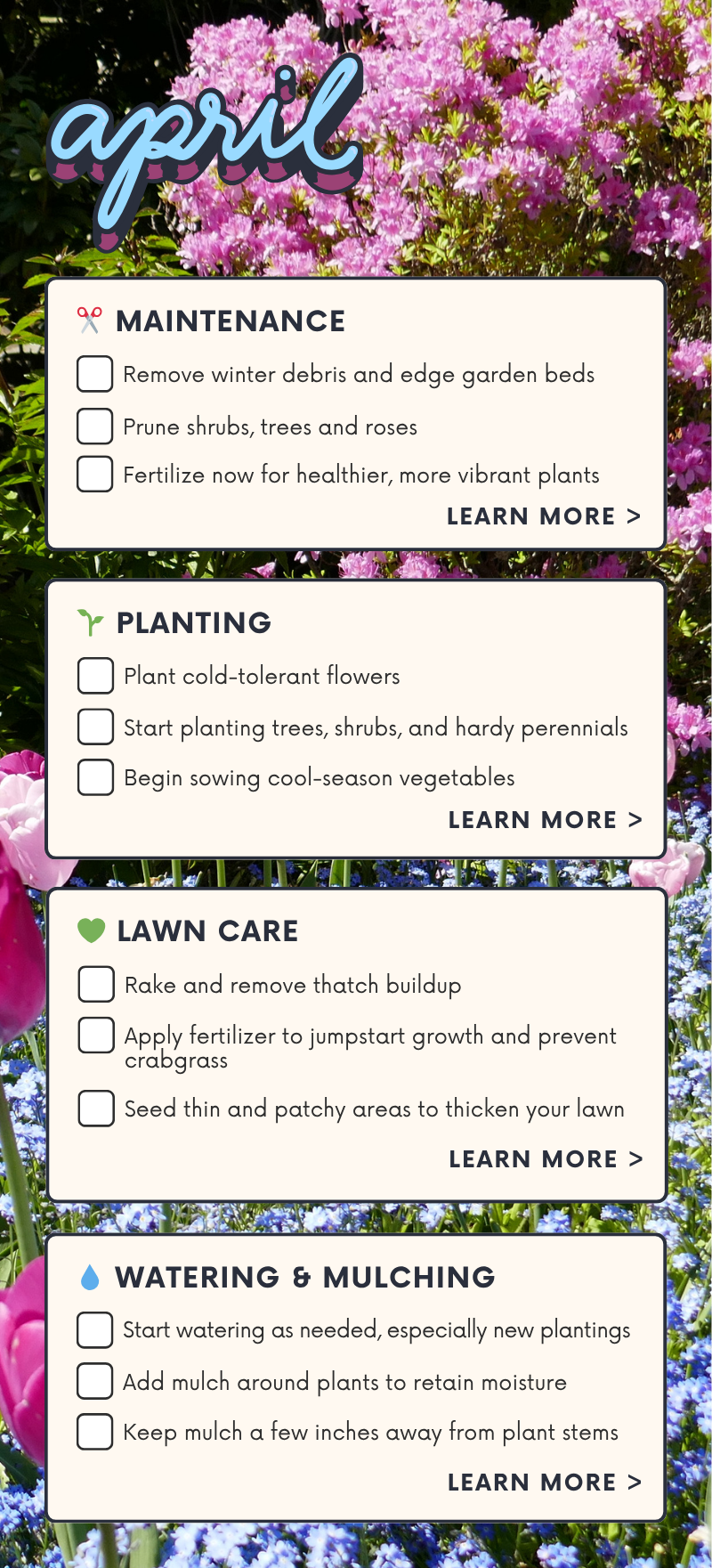 Your April Gardening Checklist