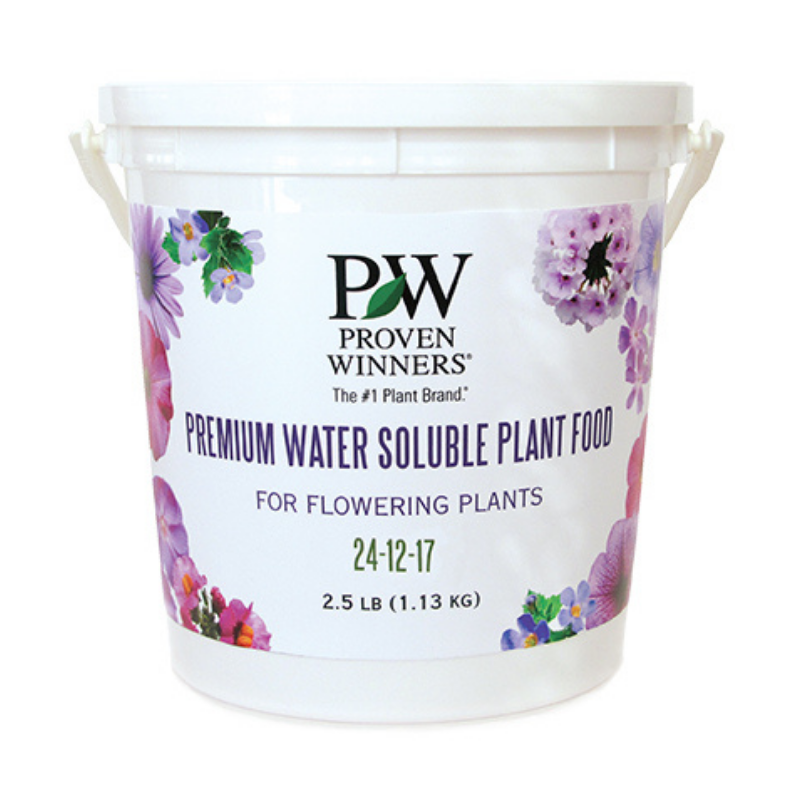 Annuals for Sun & Shade