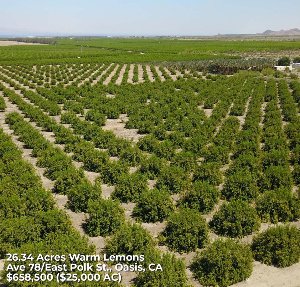 Coachella Valley Agricultural Properties