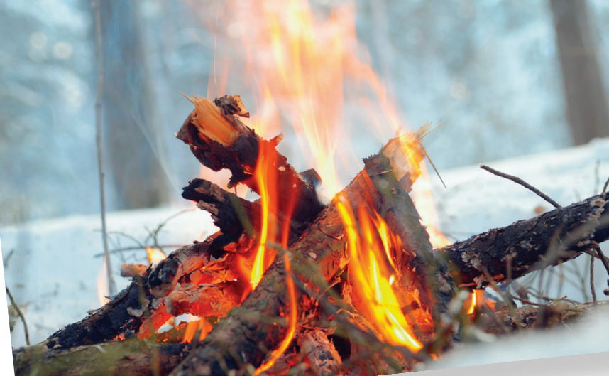 Logs in a fire place on fire in the woods