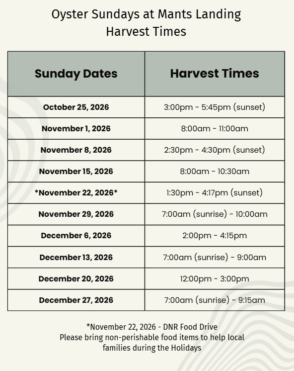 informational flyer of dates and harvest times for oyster sundays