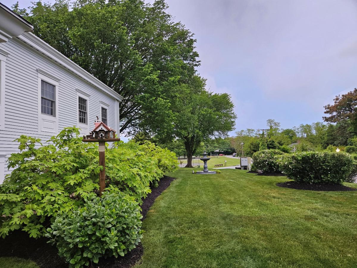 Side of a white building and a green lawn and shrubs