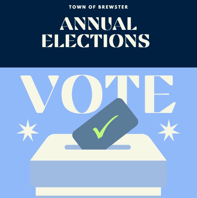Blue and white infographic that says annual town elections and vote with a little check going into a slot