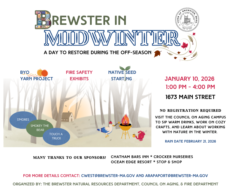 Infomrational flyer for Brewster in Midwinter with event details and a cozy woodland scene as an artistic accent.