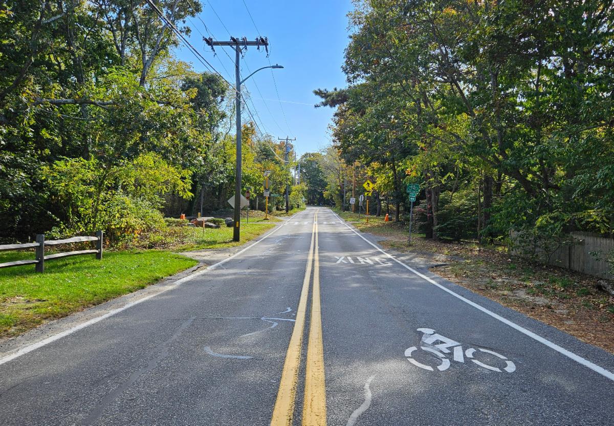 Two lane road with double yellow lines and other markings of bike crossing approaching sides of road lined with trees