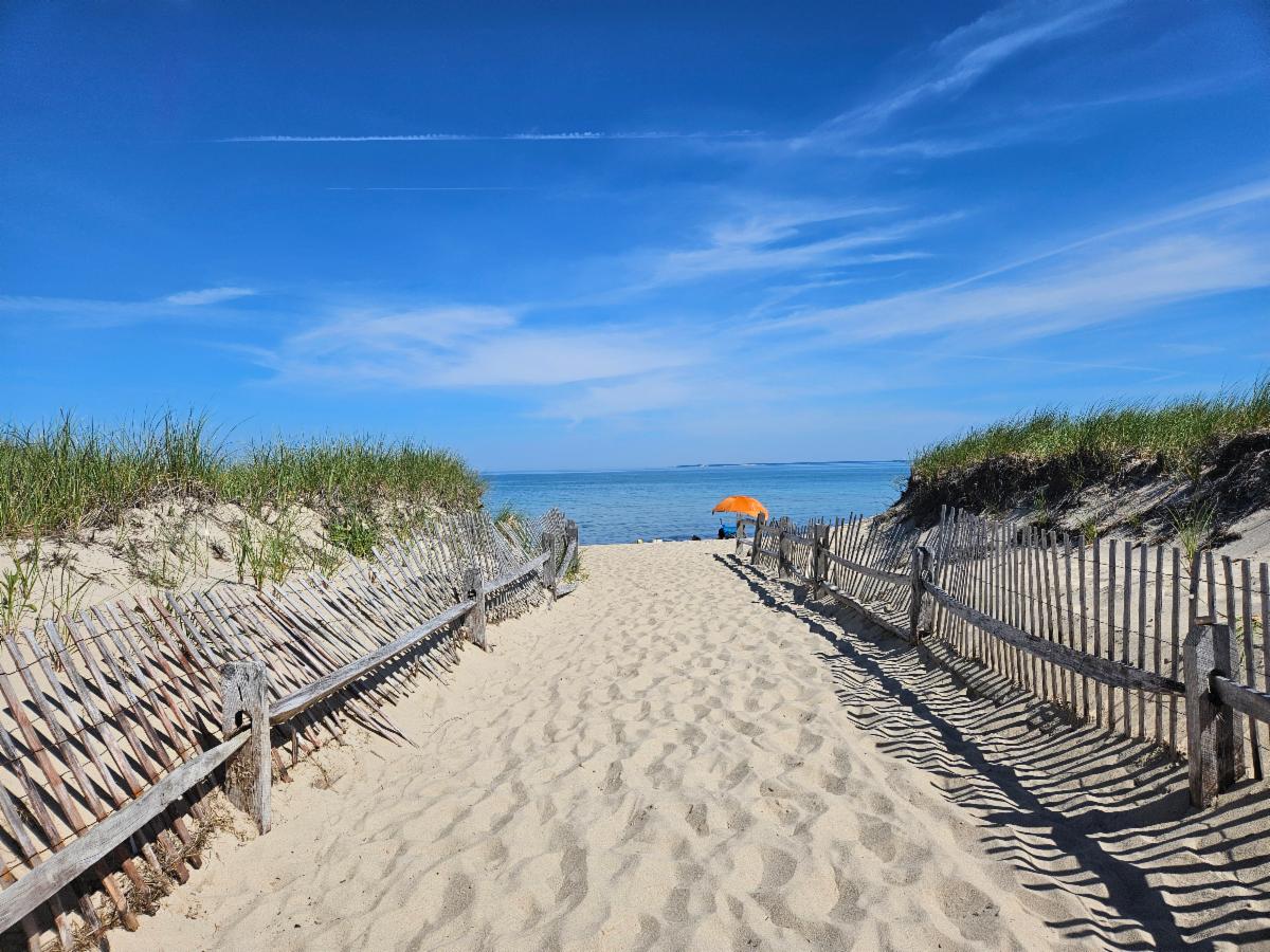 A sandy pathway between two grassy dunes leading to a bayside beach on a sky blue day