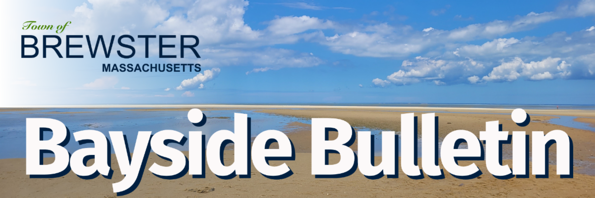 Brewster flats in on a beautiful summer day at low tide with the text Town of Brewster Bayside Bulletin overlayed