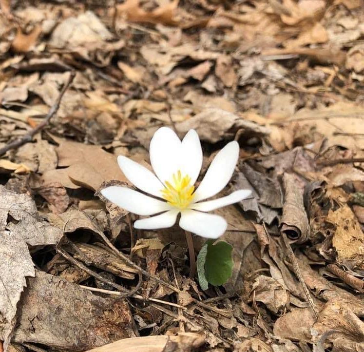 News from Susquehanna Valley Ministry Center