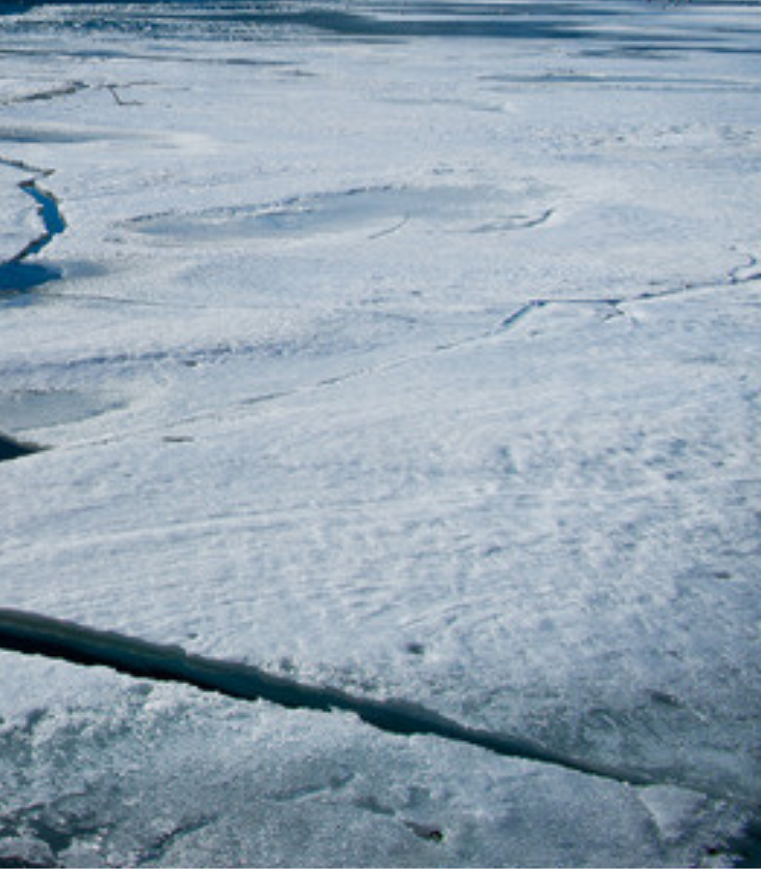 image_p1.png