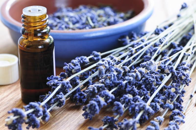lavender_essential_oil.jpg