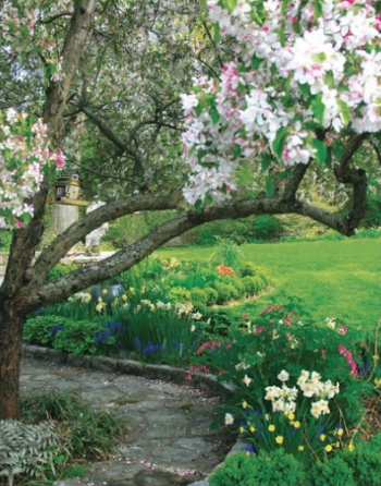 Nancy King landscape