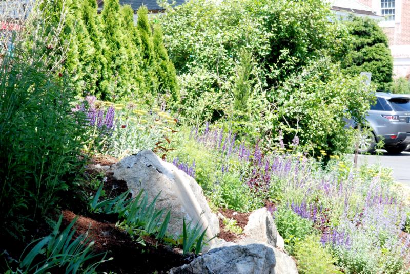 post office planting 2019