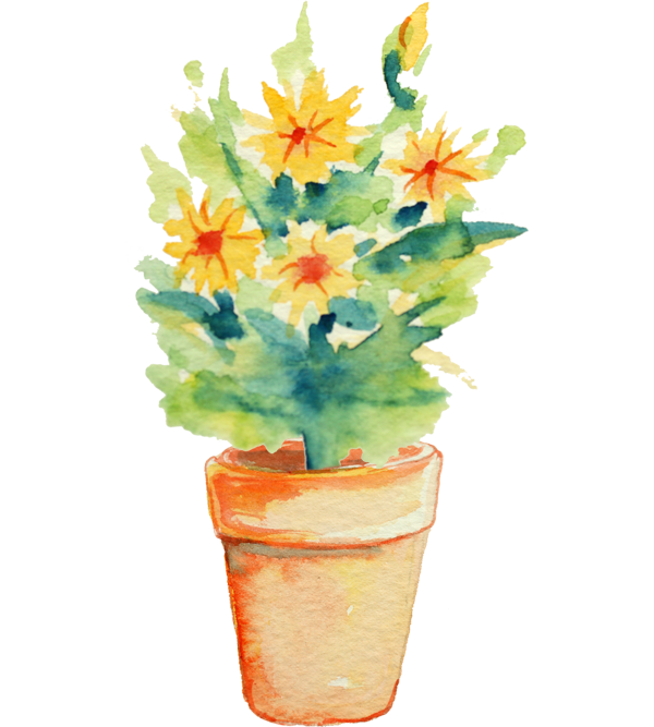 potted yellow flower
